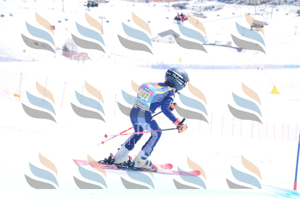 DSC_2328 | holidayphoto