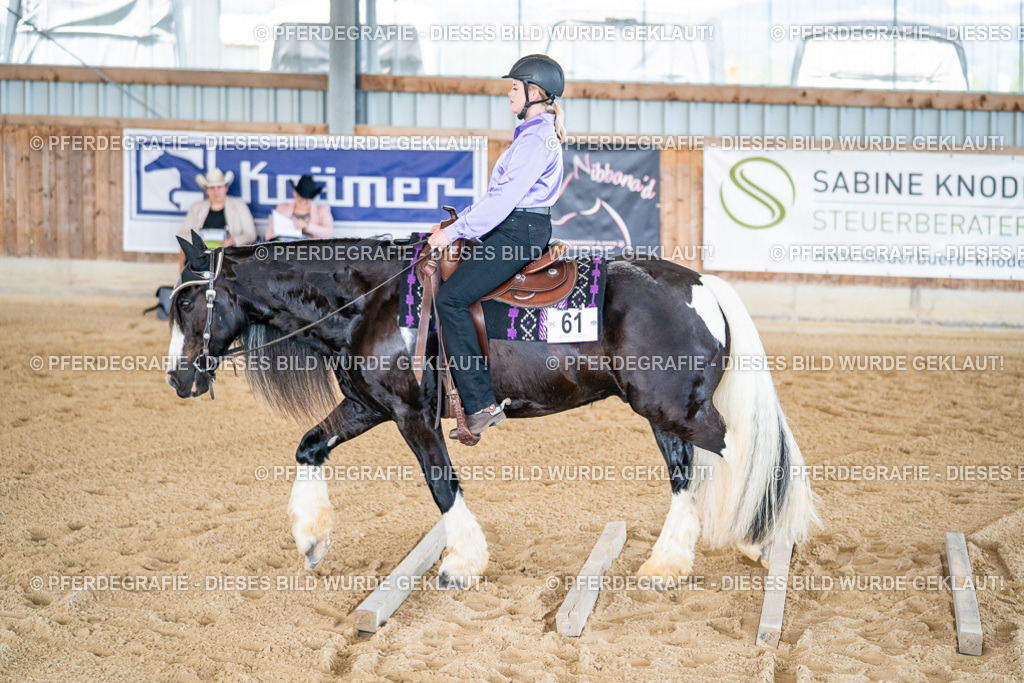 DSC03203 | Pferdegrafie