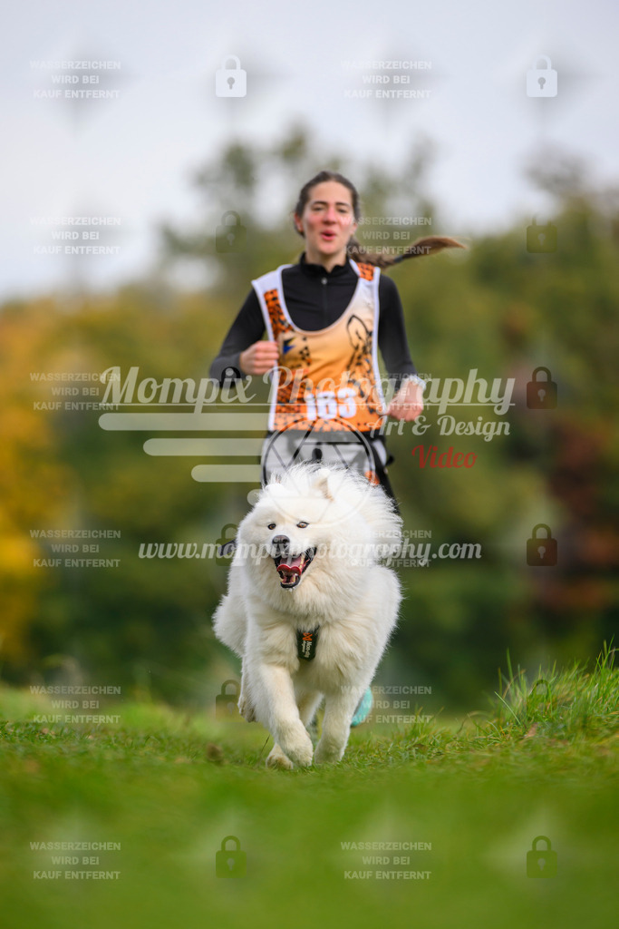 MompixPhotography_CDLBDB2025_DI_CC-151 | PayLife