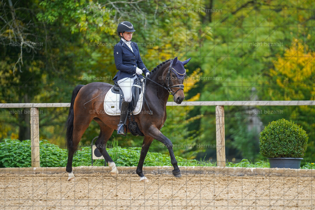 20221007-FAH09779 | Diessen am Ammersee, 2022, Dressur- und Springturnier, Reitsportbilder, Turnierfotografen Bayern, Pferdefotografen, Fotoagentur Herrmann, Turnierbilder