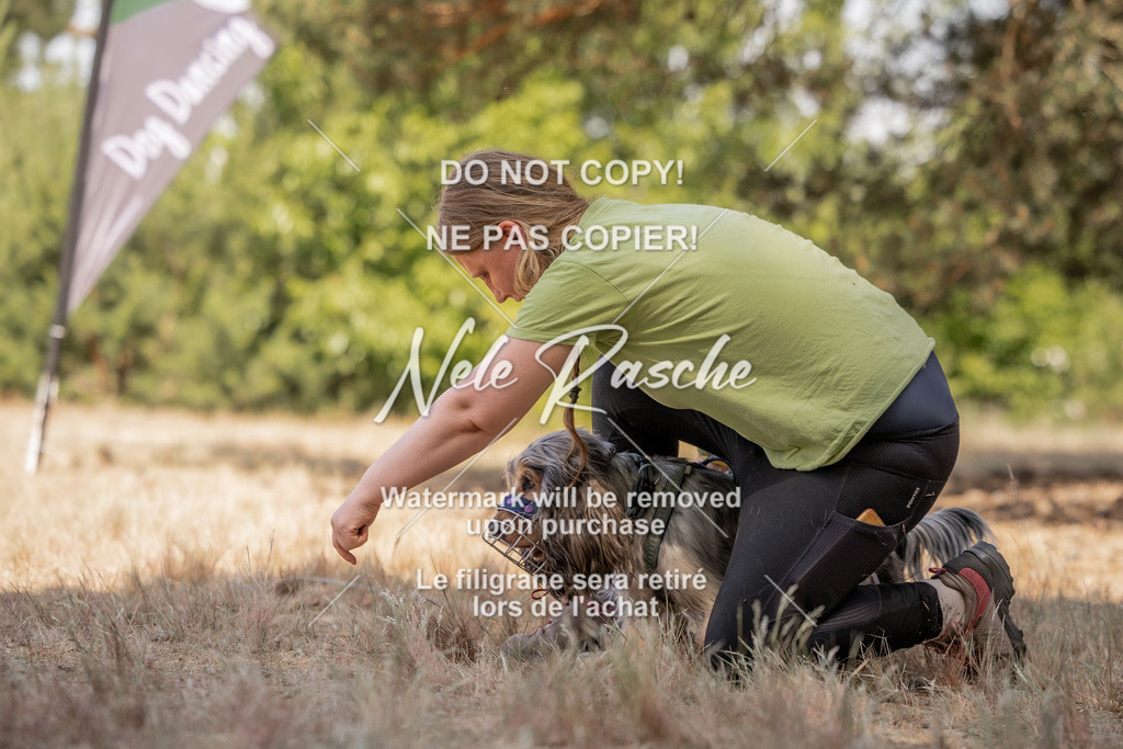 nelerasche_soDD2_350 | nelerasche