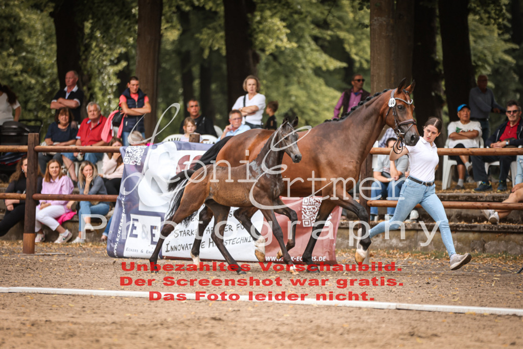 SaFohlen00036 | Leoni Ertmer Photography - Realisiert mit Pictrs.com