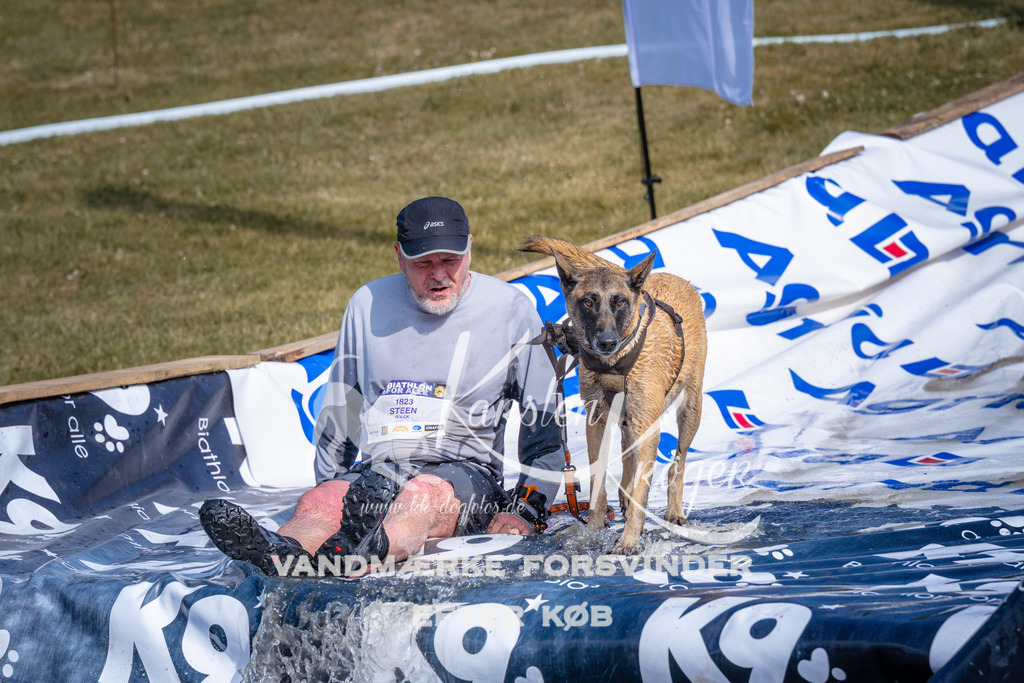 _ZZ991240818 | kk-dogfotos