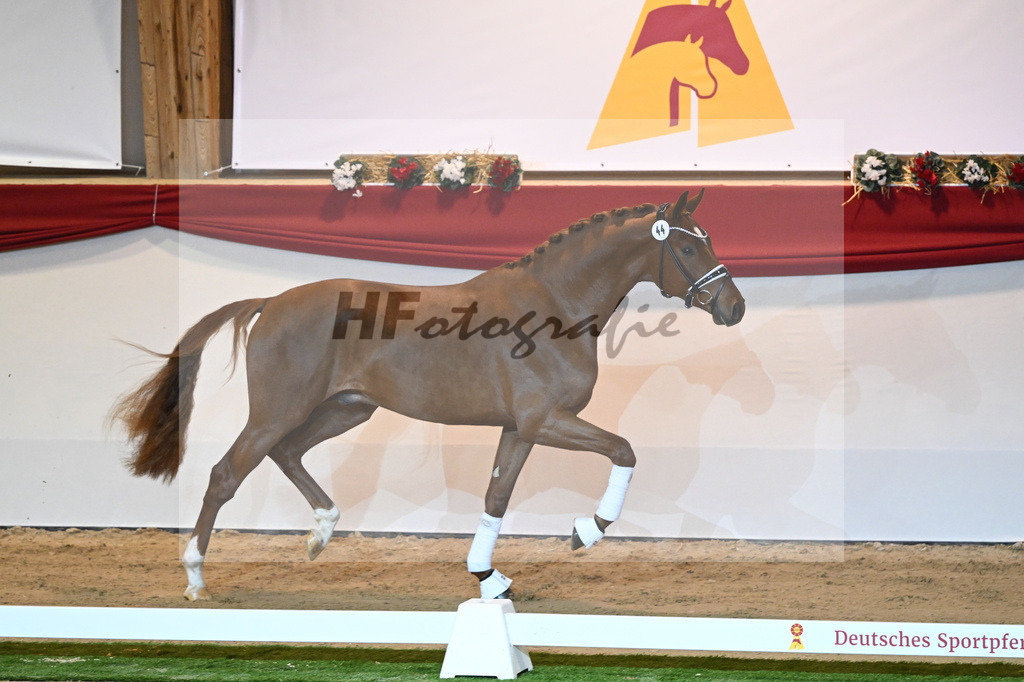 Kat-Nr. 44 Donier_Hertweck_1230038 | hf-fotografie - Realisiert mit Pictrs.com