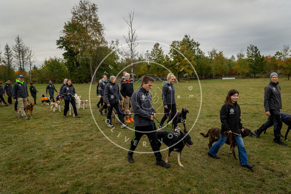 Pfotenfotografie_0L8A0212 | Hundefotografie, Tierfotograf, Pfotenfotografie, Fotoshooting Hund, Hunde Portrait, Hundesport, Hundeportraits, Heideshooting, Hunde, Sportfotograf, Hundefotograf, Turnierhundsport, THS,  - Realisiert mit Pictrs.com