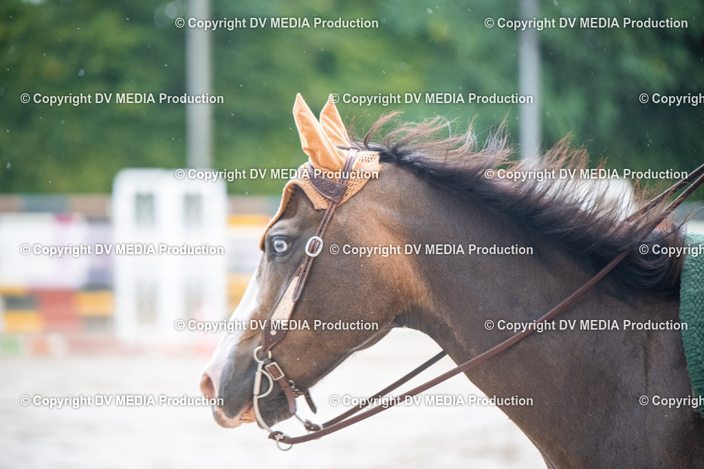 ZS2_4117 | dv-media-shop - Realisiert mit Pictrs.com