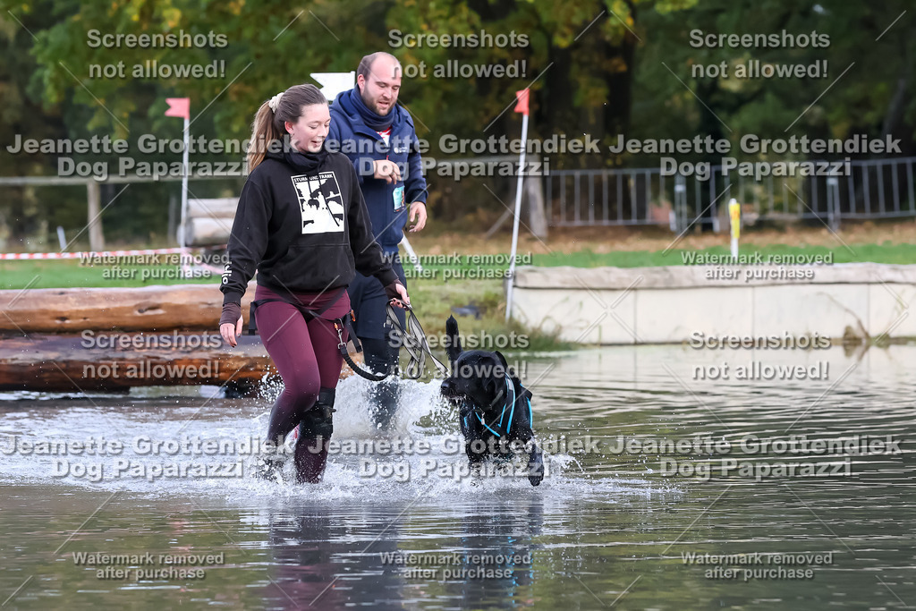 Dog Paparazzi - Strongdog 10-25-6555 | Dog Paparazzi Jeanette Grottendiek Fotografie & Videografie - Realisiert mit Pictrs.com