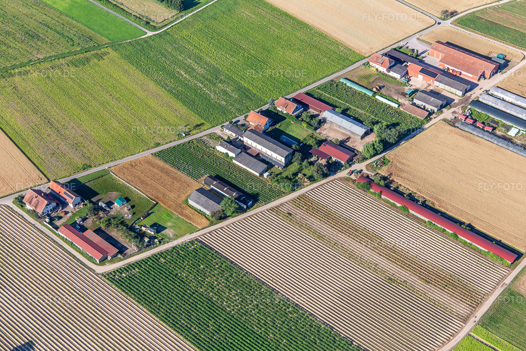 Luftbild: Aussiedlerhöfe Am Bildstöckel in Hatzenbühl im Bundesland Rheinland-Pfalz in Deutschland. Foto: IMG_142545.jpg vom 09.07.2024 durch Werner Riehm/FLY-FOTO.de