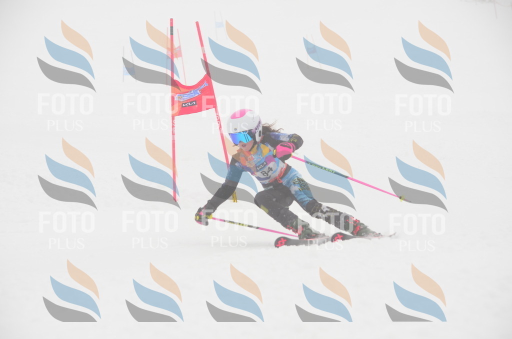 C1259 | holidayphoto