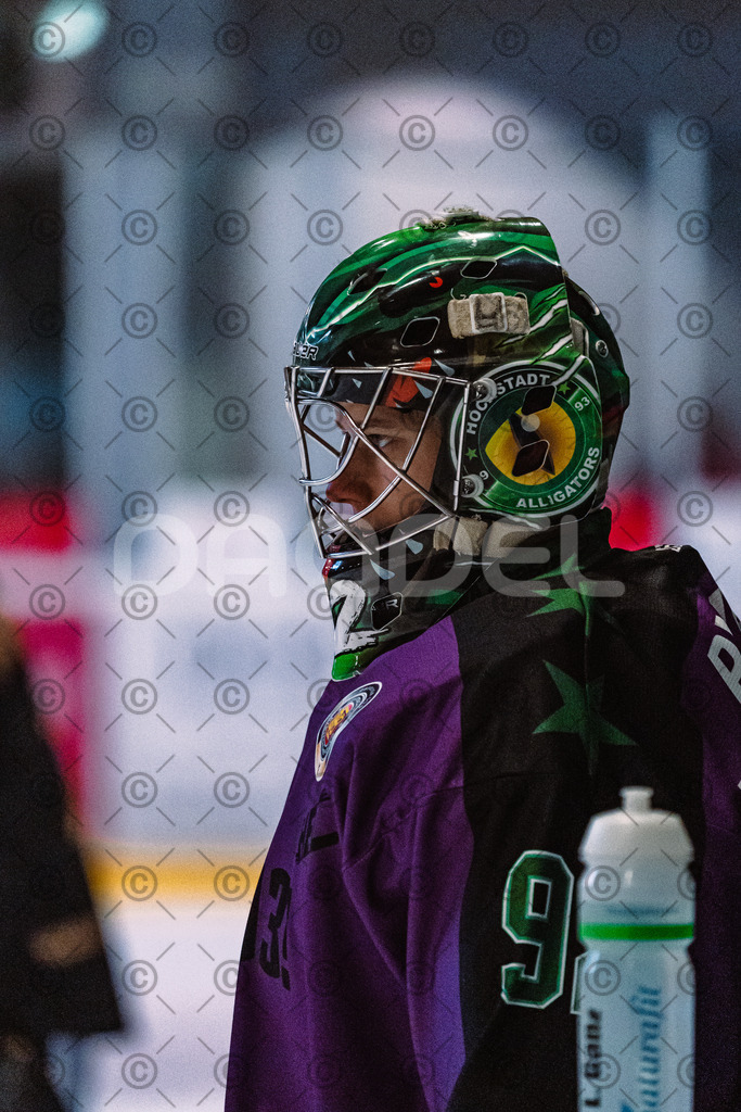 Erding_vs_Alligators_02_01_2026-09 | Höchstadt Alligators Fotogalerie: Eishockey-Action aus Franken. Professionelle Spielfotos, Portraits & Stadionbilder zum Download. Jetzt entdecken! - Realisiert mit Pictrs.com