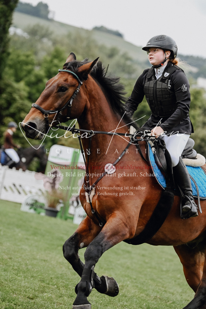 DSC_6873 | Pferde- und Turnierfotografie in Westsachsen. Pferdeportraits, Auftragszeichnungen und intuitive Kunst.