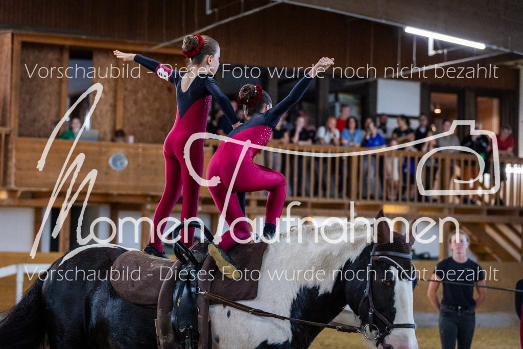 GS-NS-132 | MomenTaufnahmen Pferdesportfotos