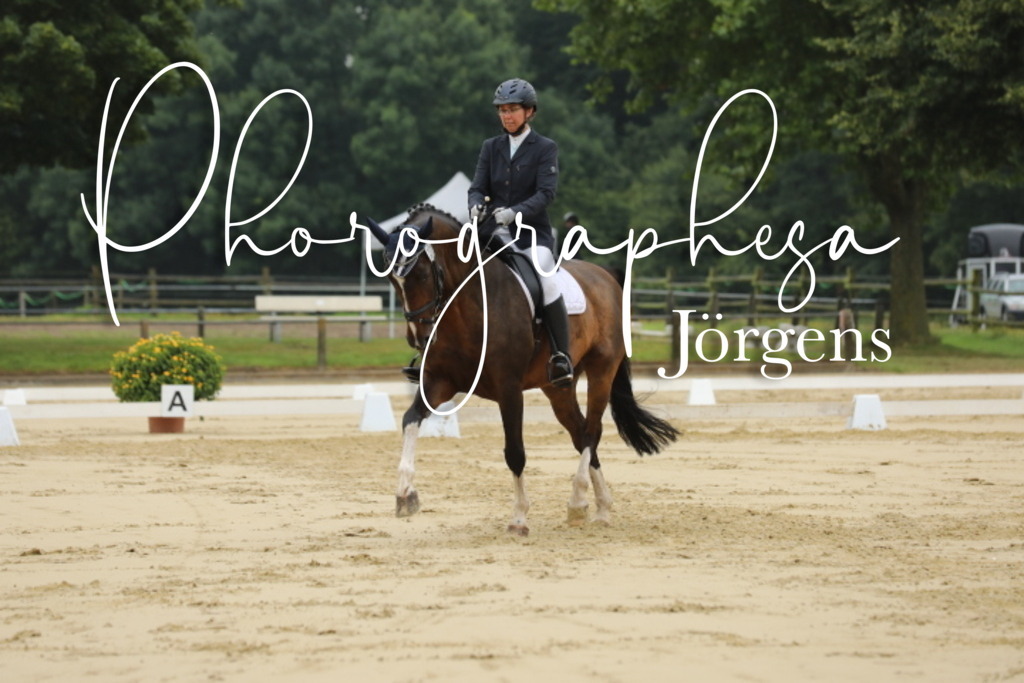 IMG_5032 | photographesa-joergens - Realisiert mit Pictrs.com