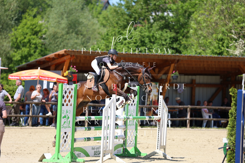 IMGS8080 | pl-fotografie