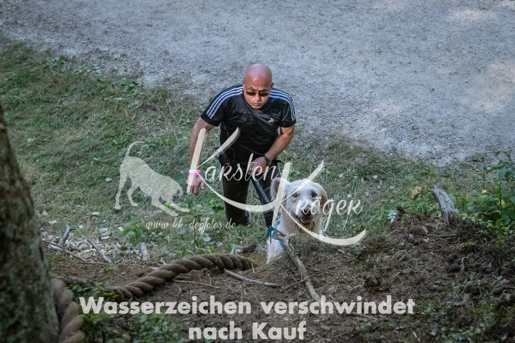 1153_ZZ92328 | kk-dogfotos