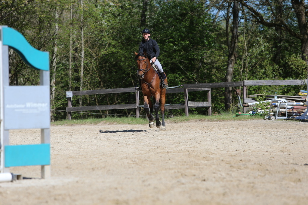 DL2Q3140 | Willkommen bei Brunnmayr - Design & Fotografie – Ihrem Spezialisten für Reitturniere und Pferdeveranstaltungen in Oberösterreich, Salzburg und Bayern! Seit über 17 Jahren sind wir leidenschaftlich dabei.