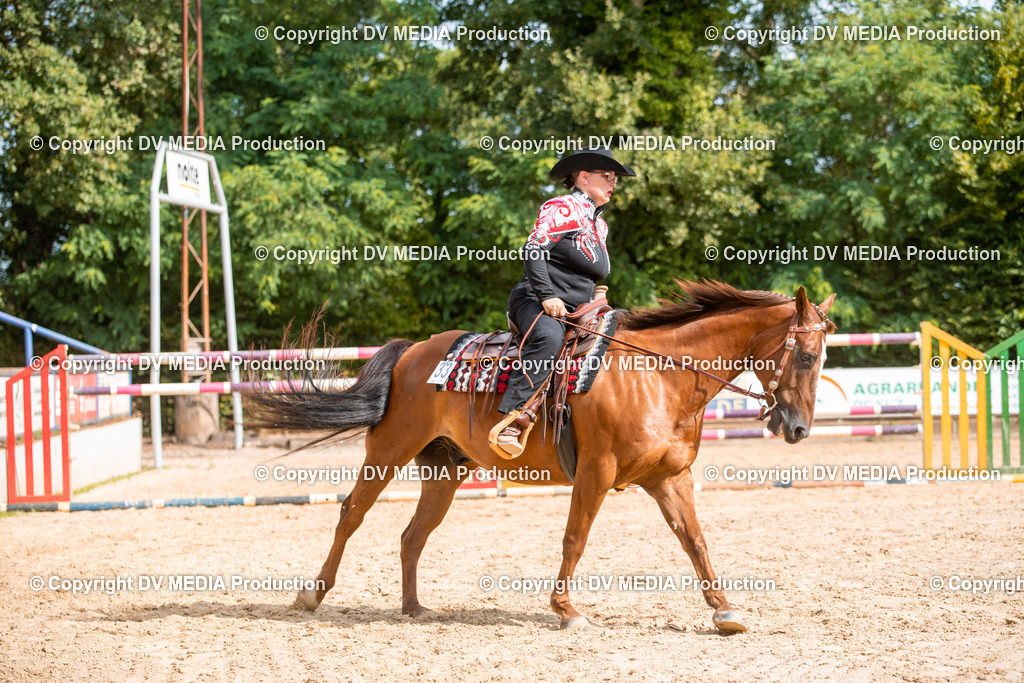 ZS2_7653 | dv-media-shop - Realisiert mit Pictrs.com