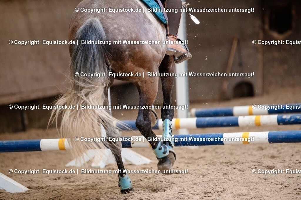 20250725_Vielseitigkeitslehrgang-Marbach_0239 | Foto: Thomas Hartig