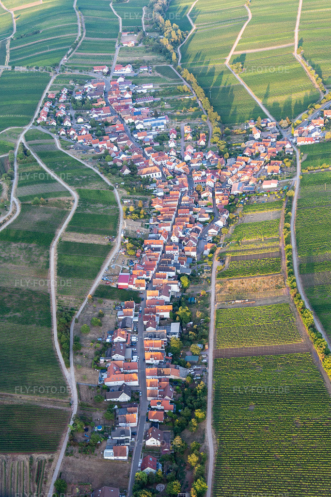 Luftbild:  in Ranschbach im Bundesland Rheinland-Pfalz in Deutschland. – Foto: IMG_134224.jpg vom 28.08.2022 durch Werner Riehm/FLY-FOTO.de – Auflösung des Originals: 3273 x 4909 px – WWW.RANSCHBACH.DE