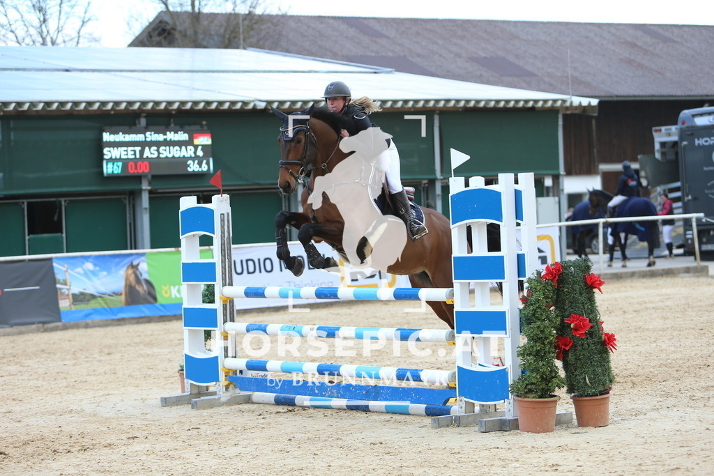 DL2Q9592 | Willkommen bei Brunnmayr - Design & Fotografie – Ihrem Spezialisten für Reitturniere und Pferdeveranstaltungen in Oberösterreich, Salzburg und Bayern! Seit über 17 Jahren sind wir leidenschaftlich dabei.