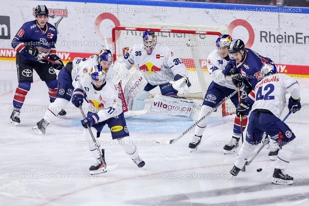 KEC03012501017 | 03.01.2025, Eishockey, Penny DEL, Kölner Haie - EHC Red Bull München, Spieltag 33, Lanxess-Arena Köln: Louis-Marc Aubry (Kölner Haie #15) gegen Les Lancaster (EHC München #74) und Yasin Ehliz (EHC München #42) vor dem tor von Goalie Mathias Niederberger (EHC München #35)