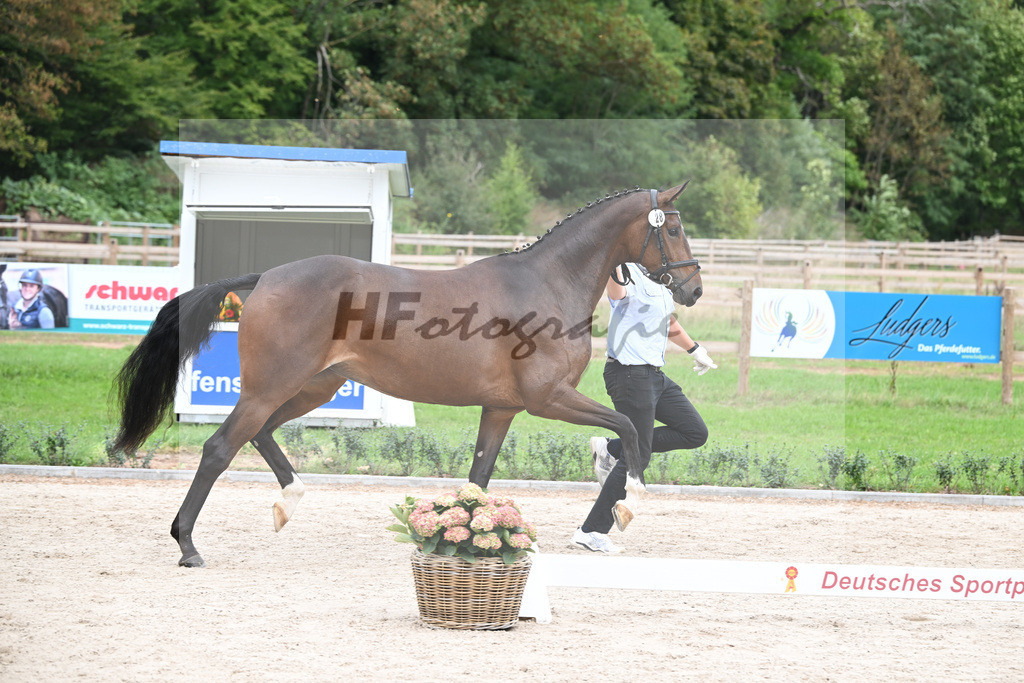 Kat-Nr. 28 Farella_Birkenmayer_49220975 | hf-fotografie - Realizzato con Pictrs.com