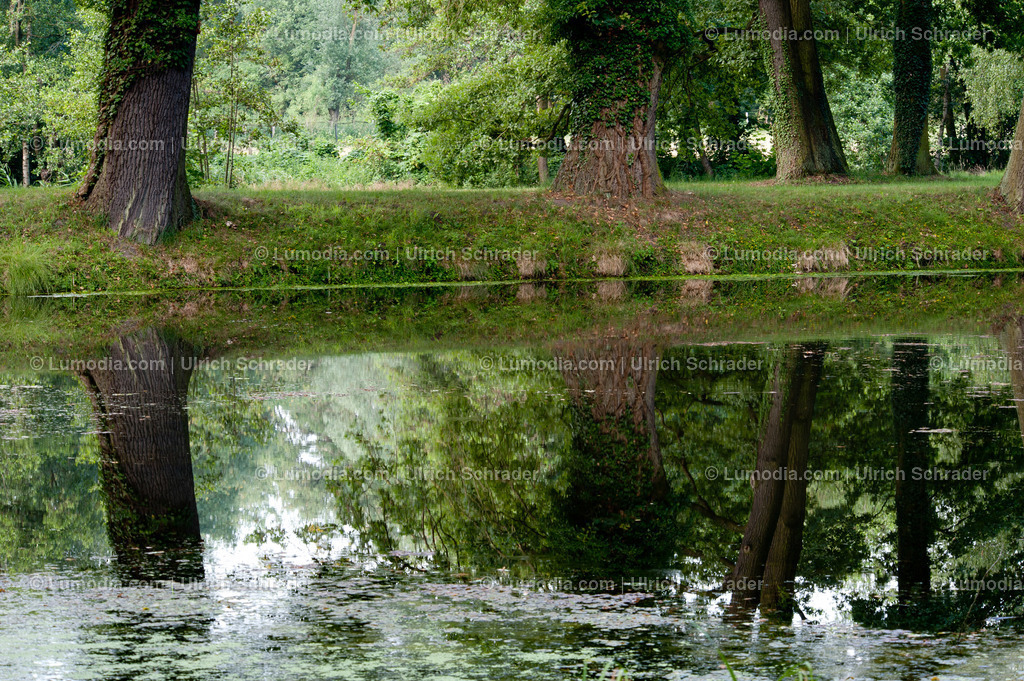 100494-4261 - Schlosspark Krumke | Stockfoto und Bilderpool mit Bildmaterial aus Deutschland, dem Harz, Halberstadt, Quedlinburg, Wernigerode und weltweit. Qualitativ hochwertige und professionelle Fotos anschauen und kaufen. - Realisiert mit Pictrs.com