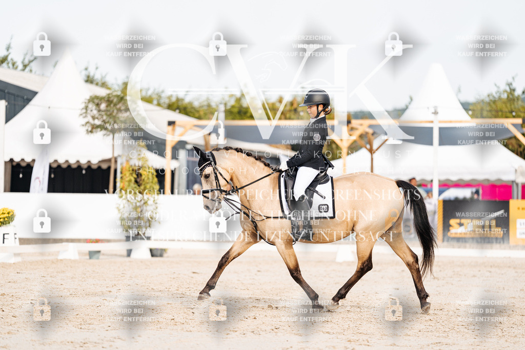 CK904288 | Turnierfotografie Pferdefotografie Trier Rheinland-Pfalz Pferdesport Reitsport Tierfotografie Sportfotografie Pferdevideo Pferdevideografie Equestrianvideography equestrianphotography  - Realisiert mit Pictrs.com