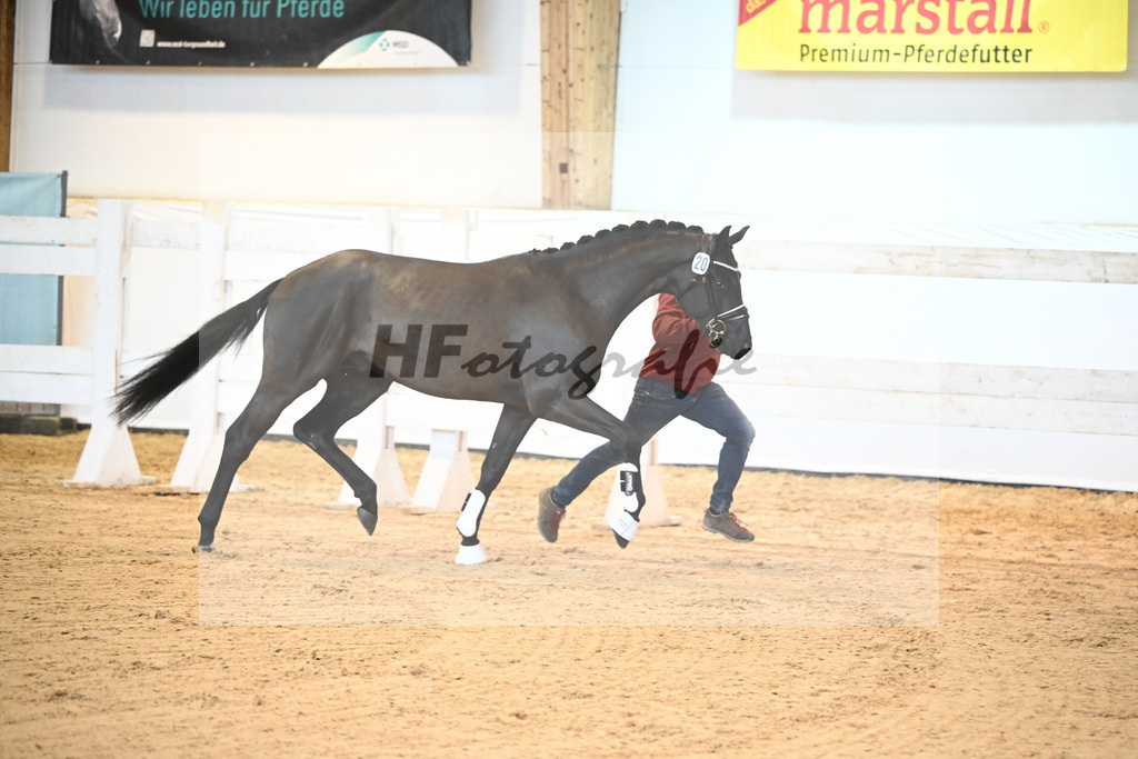 Kat-Nr. 20 v. Marc Cain_Seiler_6240423 | hf-fotografie - Realisiert mit Pictrs.com