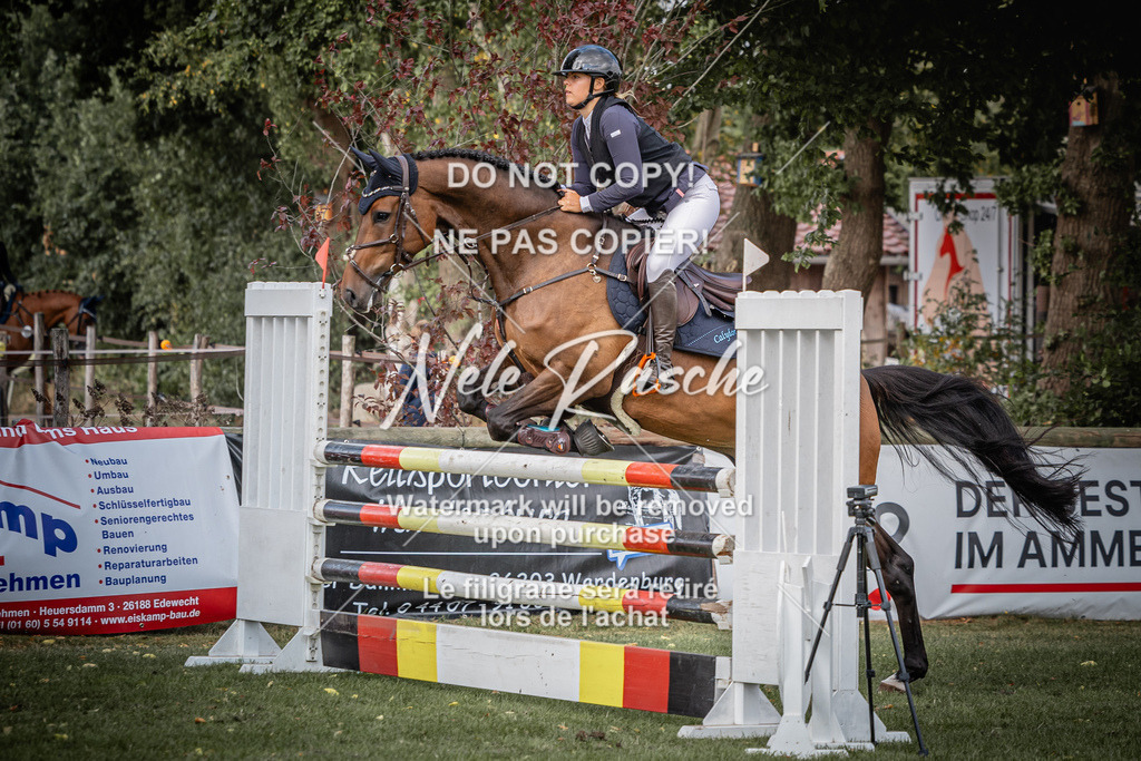 nelerasche_SprL__110Ede_26 | nelerasche