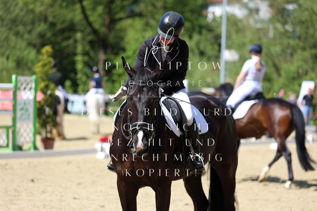 IMGS3955 | pl-fotografie