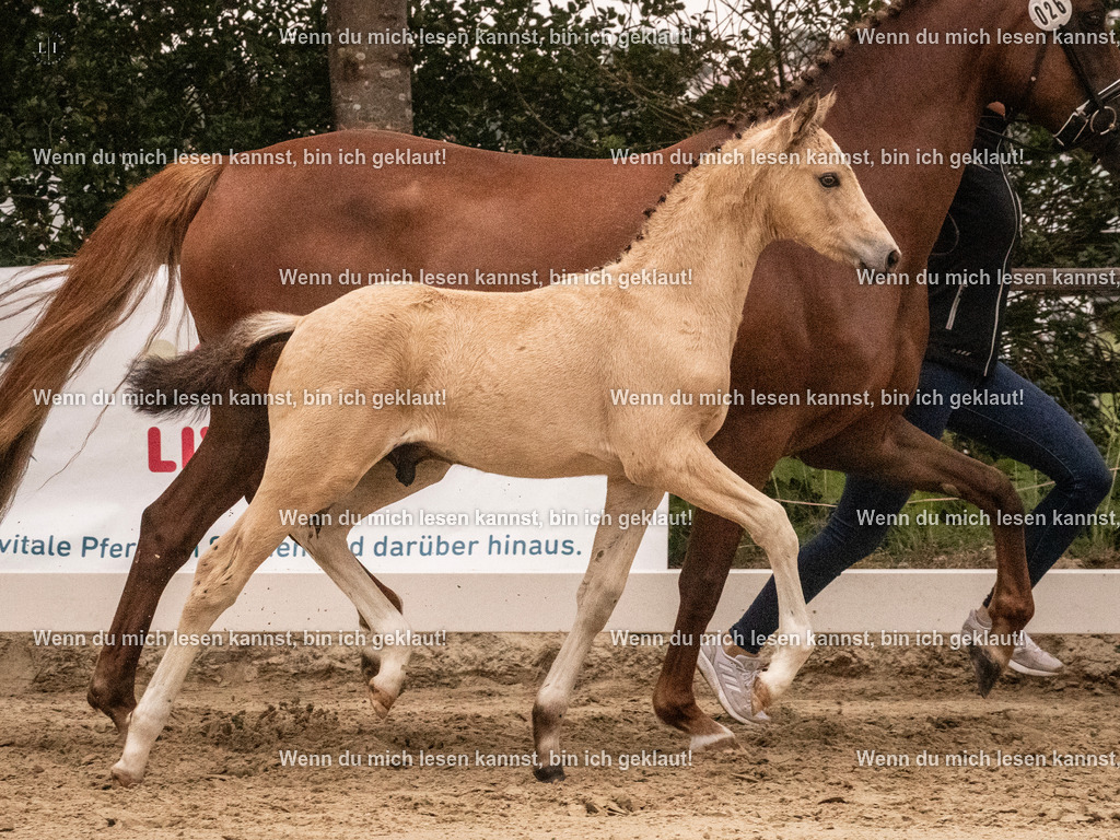 A10I1883 15.54.45 | photographylinaismer - Realisiert mit Pictrs.com