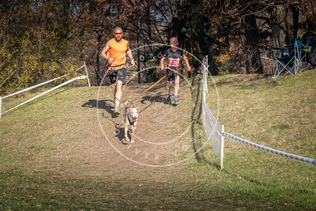 CaniXpix_0L8A8298 | Hundefotografie, Tierfotograf, Pfotenfotografie, Fotoshooting Hund, Hunde Portrait, Hundesport, Hundeportraits, Heideshooting, Hunde, Sportfotograf, Hundefotograf, Turnierhundsport, THS,  - Realisiert mit Pictrs.com