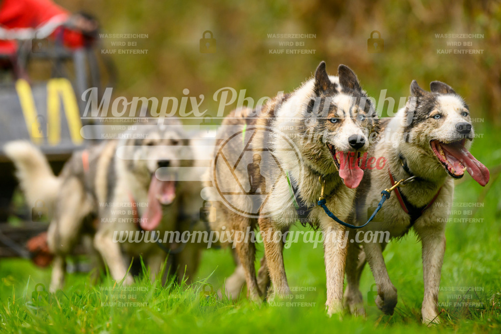 MompixPhotography_20TSB_E8_Kart-35 | PayLife