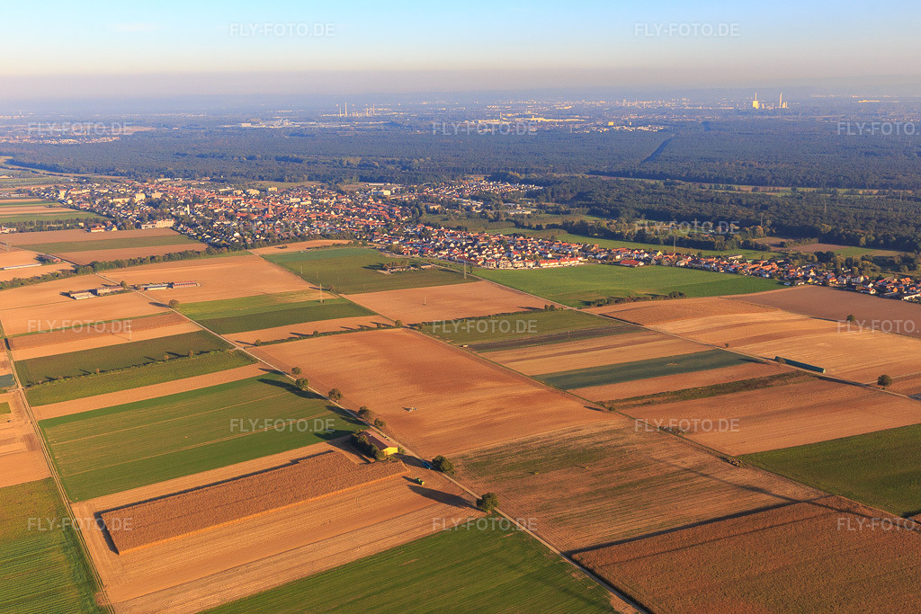Luftbild: Stadtansicht aus Nordwesten in Kandel im Bundesland Rheinland-Pfalz in Deutschland. Foto: IMG_095330.jpg vom 16.10.2016 durch Werner Riehm/FLY-FOTO.de