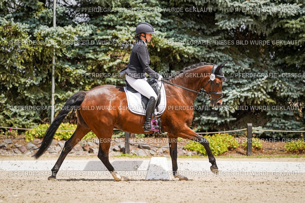 DSC02462 | Pferdegrafie