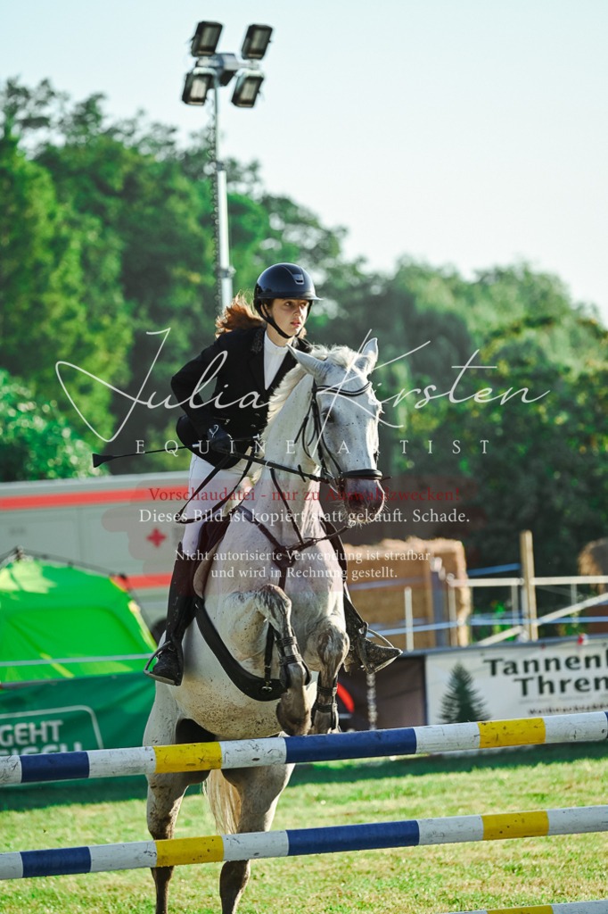 DSC_4043 | Pferde- und Turnierfotografie in Westsachsen. Pferdeportraits, Auftragszeichnungen und intuitive Kunst.