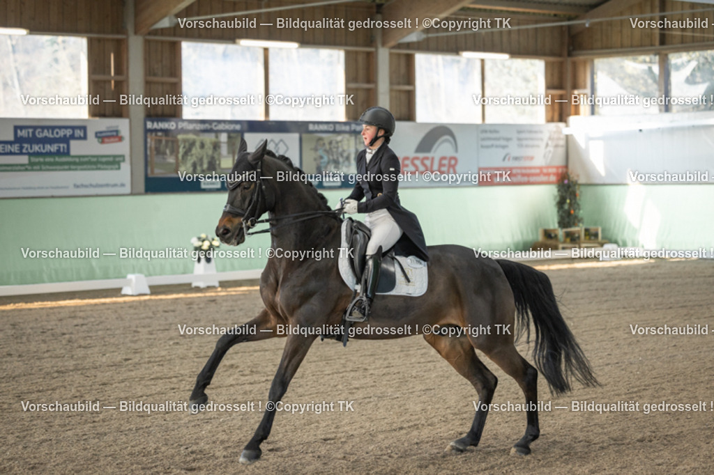 _D5A7733 | Emotionale Pferde- & People-Fotografie rund um Heidelberg, Leimen & Umgebung. Natürliche Fotos von Pferd, Mensch & Familie. Jetzt Termin sichern!