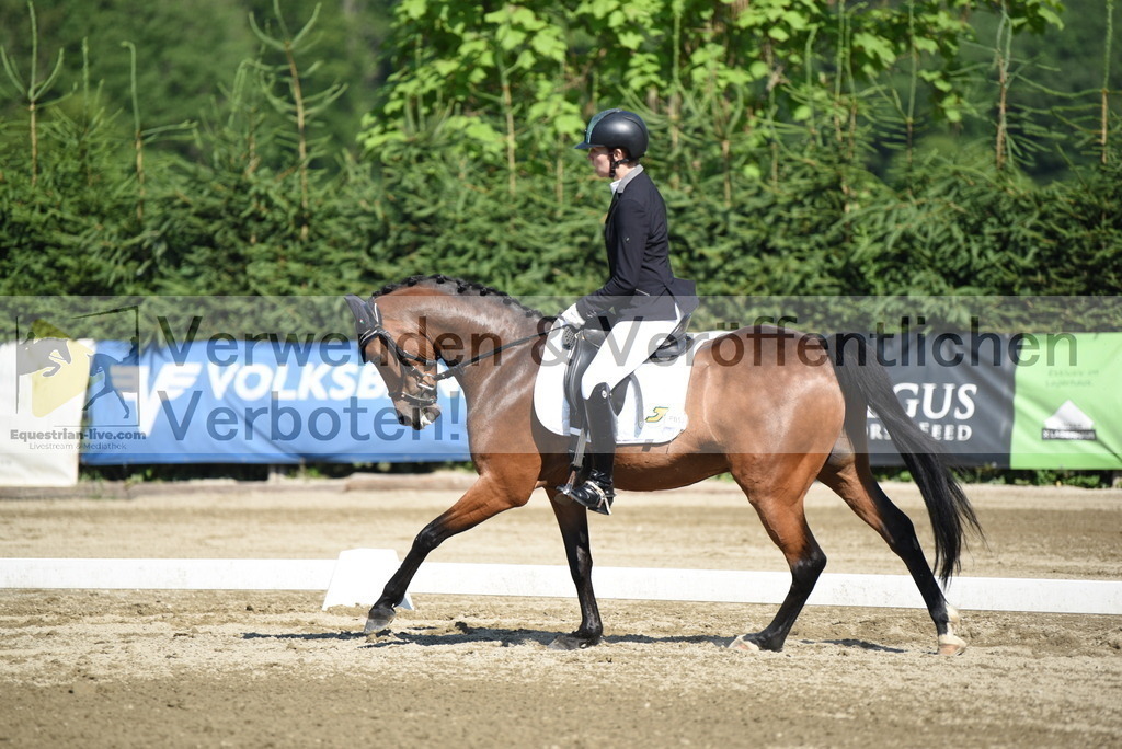 DSC_7623 | equestrian-live-com