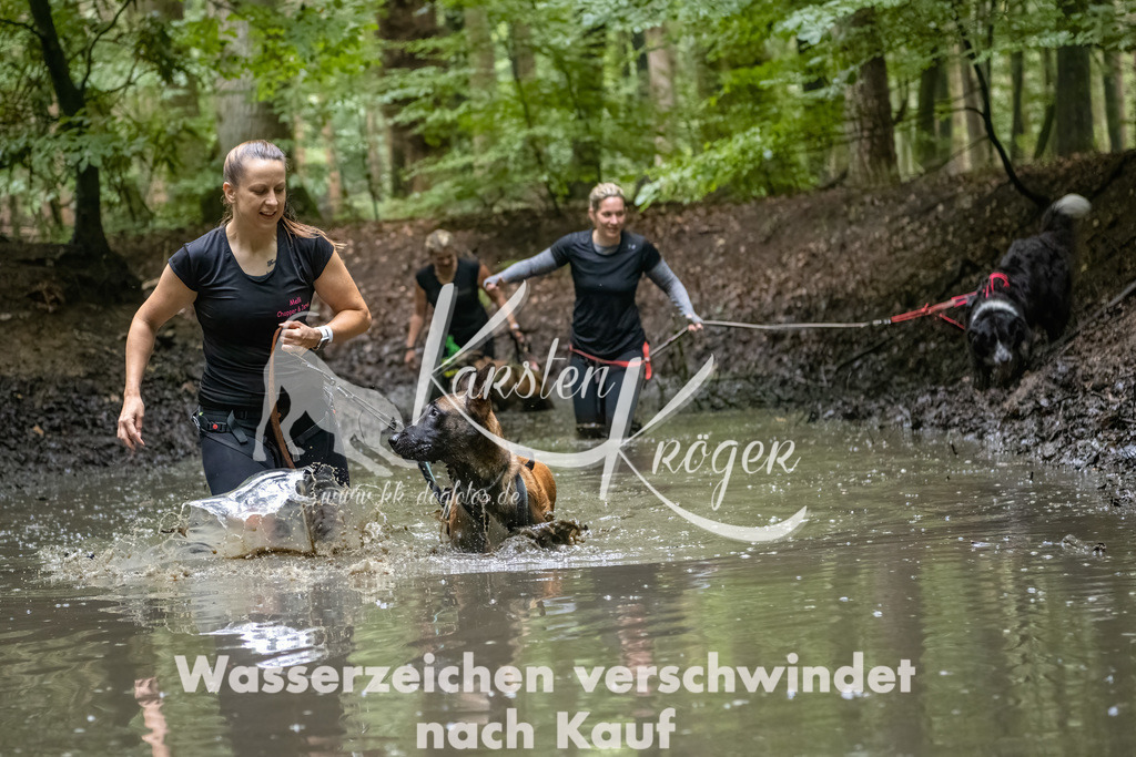 1113_ZZ90214-Bearbeitet-2 | kk-dogfotos