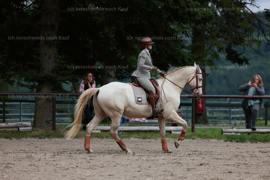 Masterclass_stoibphotography_C2_L6904.JPG | working equitationturnier fotograf videograf stoibphotography marixx film working equitation deutschland reitsport turnierfotografie eventfotografie equestrian events