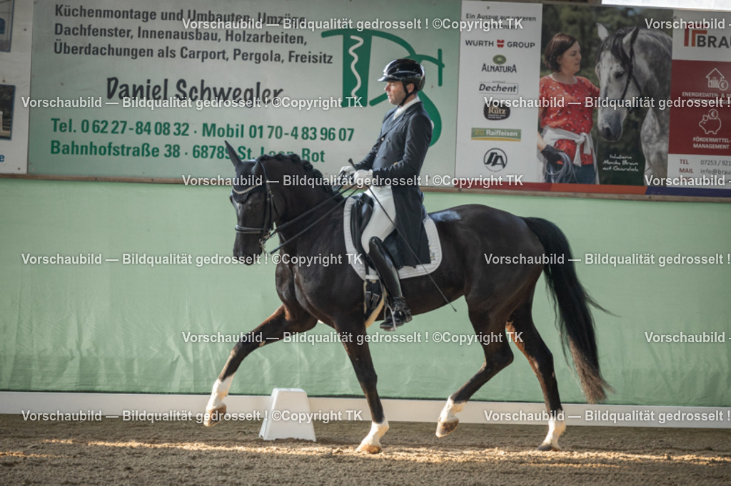 _D5A7983 | Emotionale Pferde- & People-Fotografie rund um Heidelberg, Leimen & Umgebung. Natürliche Fotos von Pferd, Mensch & Familie. Jetzt Termin sichern!