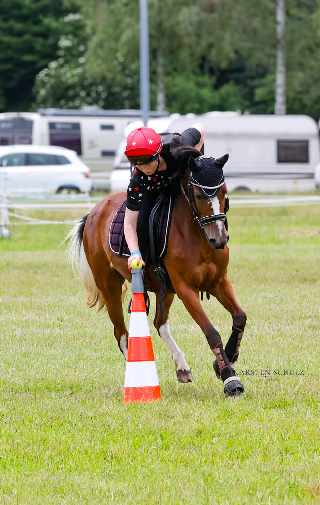 1B3A2666 | Reitsport Reiten