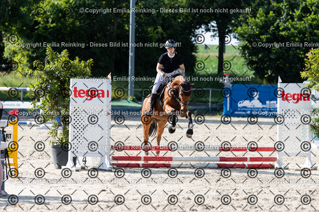 CL5A1195 | Emilia Reinking Fotografie - Realisiert mit Pictrs.com