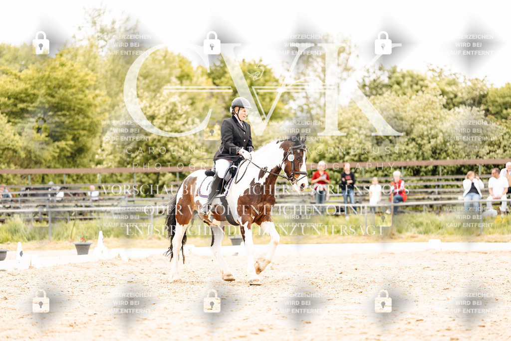 CK903576 | Turnierfotografie Pferdefotografie Trier Rheinland-Pfalz Pferdesport Reitsport Tierfotografie Sportfotografie Pferdevideo Pferdevideografie Equestrianvideography equestrianphotography  - Realisiert mit Pictrs.com
