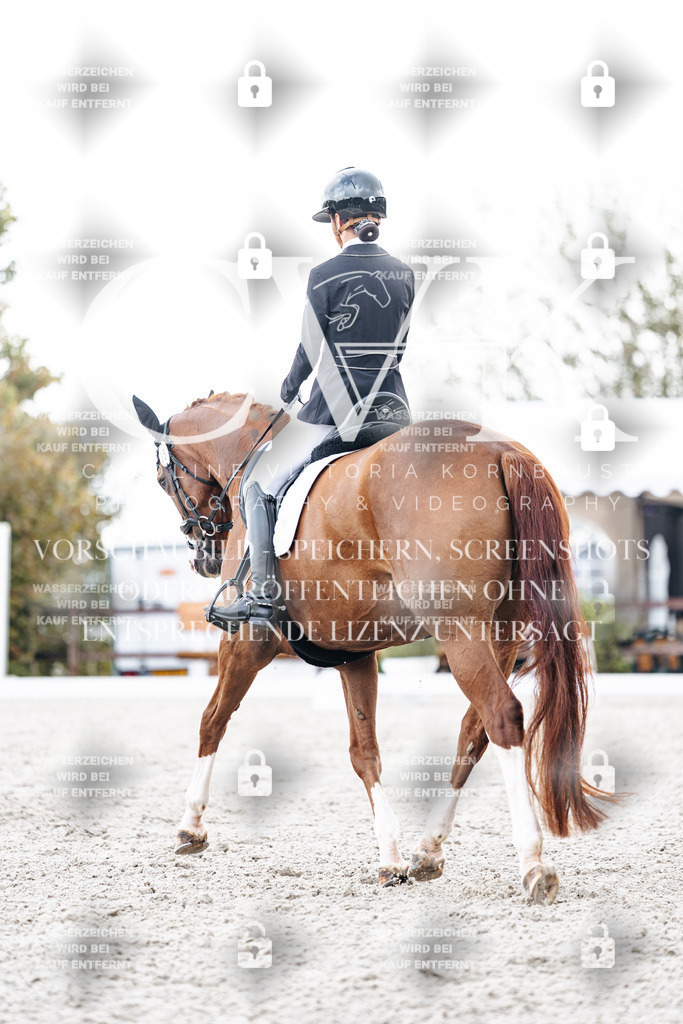 CK900730 | Turnierfotografie Pferdefotografie Trier Rheinland-Pfalz Pferdesport Reitsport Tierfotografie Sportfotografie Pferdevideo Pferdevideografie Equestrianvideography equestrianphotography  - Realisiert mit Pictrs.com