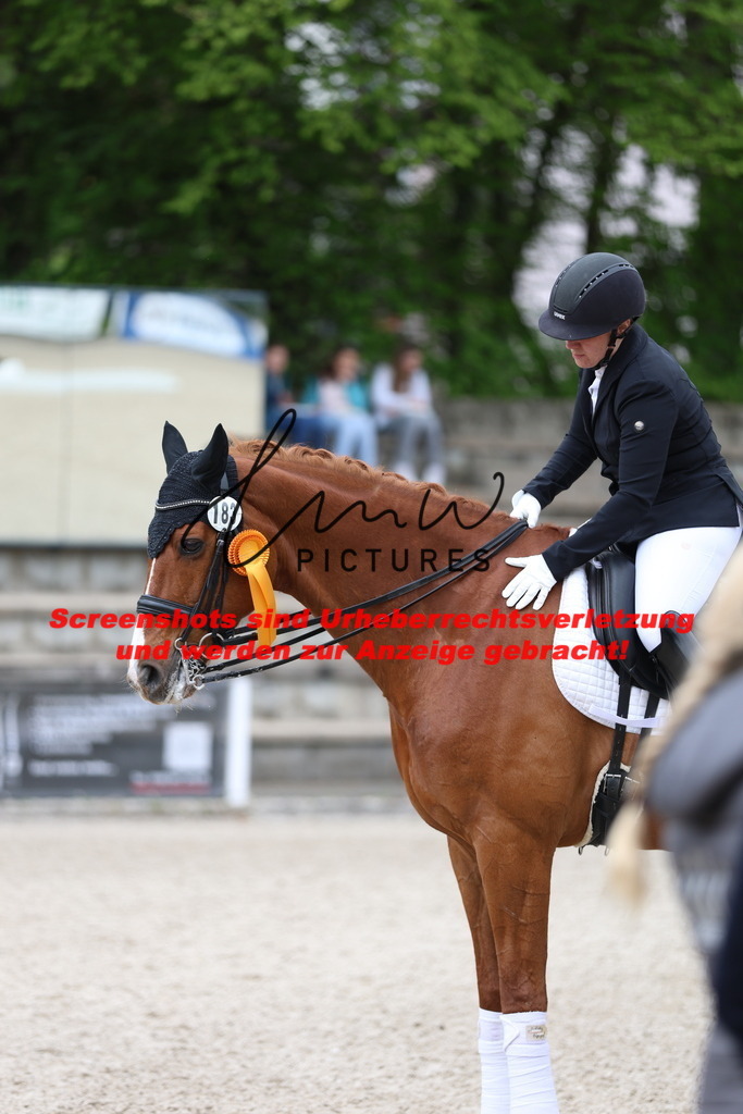 A40A4419 | lmwpictures - Realisiert mit Pictrs.com