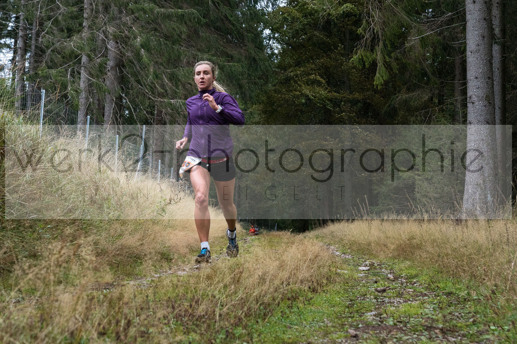 Herbstlauf | Neuhaus/Rwg. - Masserberg am 3. Oktober 2020