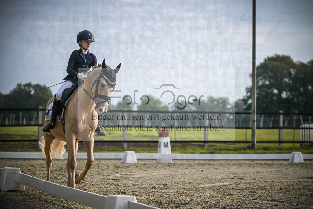 DOS_4833 | Entdecke hochwertige Reitturnierfotos von Foto Oger. Professionell, emotional und authentisch – jetzt Lieblingsmomente im Shop bestellen.Deutschlandweite Turnierfotografie. - Realisiert mit Pictrs.com