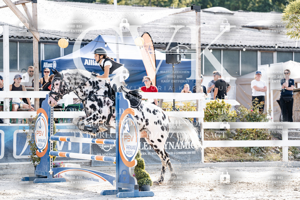 CK905969 | Turnierfotografie Pferdefotografie Trier Rheinland-Pfalz Pferdesport Reitsport Tierfotografie Sportfotografie Pferdevideo Pferdevideografie Equestrianvideography equestrianphotography  - Realisiert mit Pictrs.com